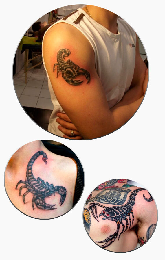 Тату скорпион. Значение татуировки скорпиона, эскизы и фото работ