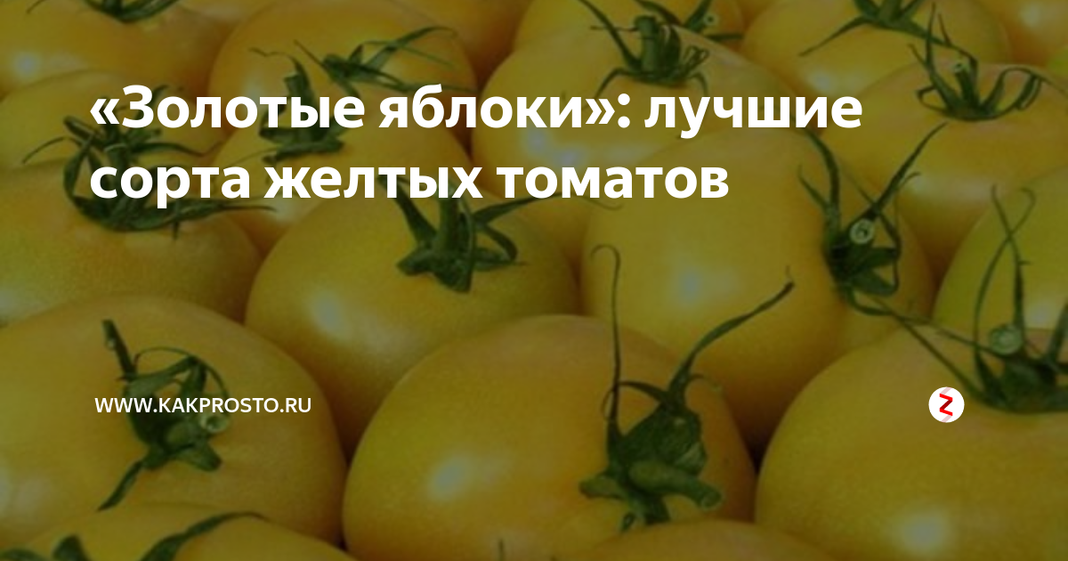 Слова золотое яблоко: найдено 85 изображений