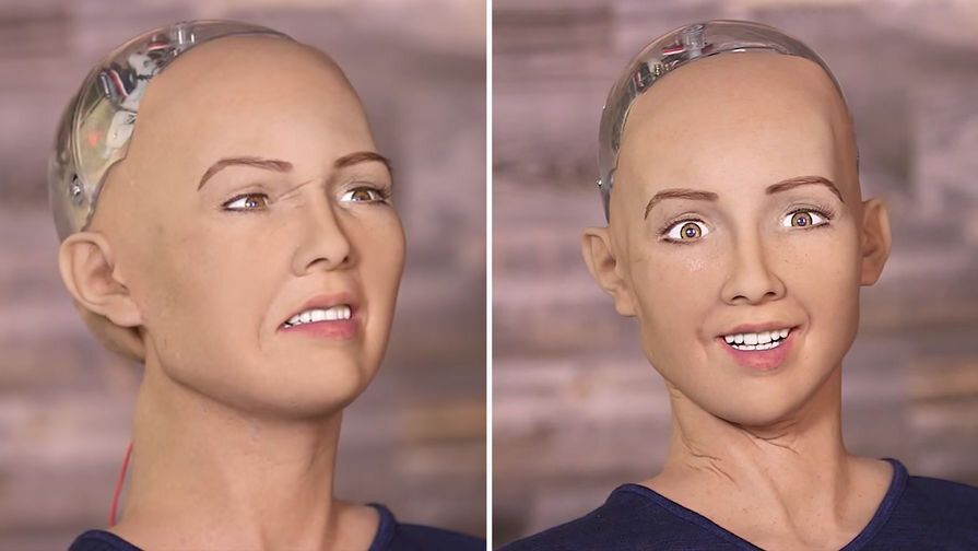 Рис 1. Робот София