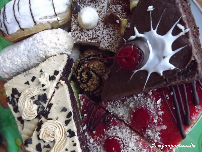 Фото Нины Стрелковой. 