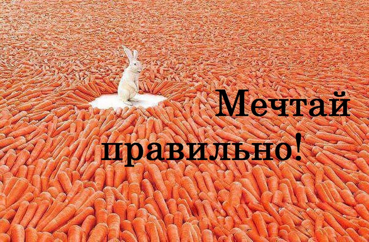 Мечты сбываются картинки с надписями