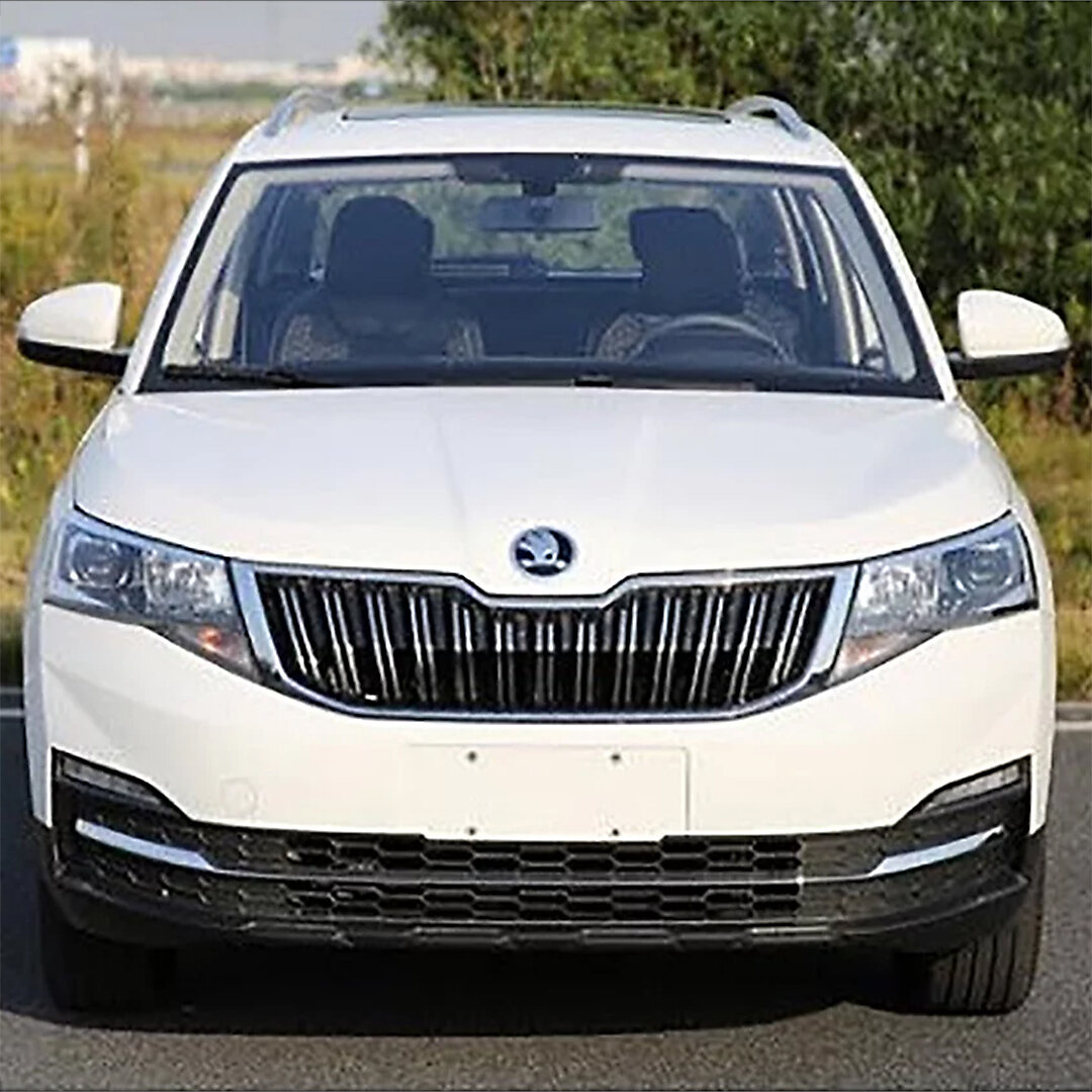                                                                    Skoda Kamiq