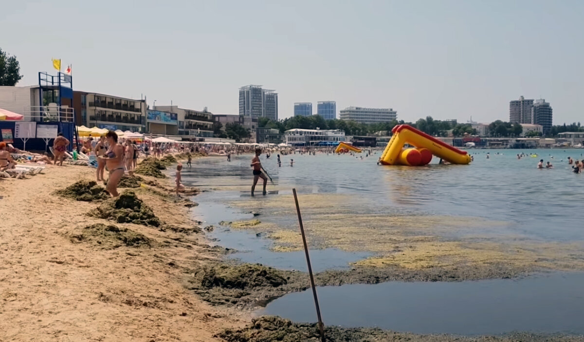 Море в анапе в августе отзывы