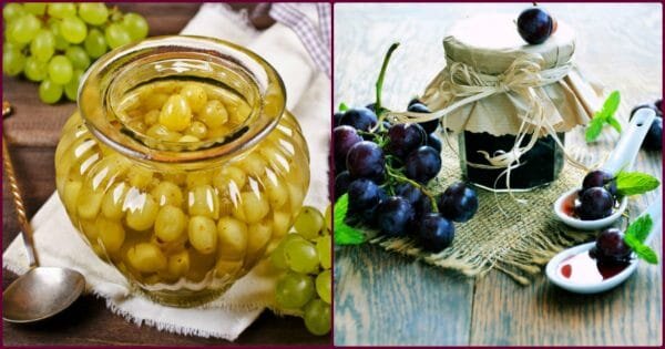 Фото: pixabay.com