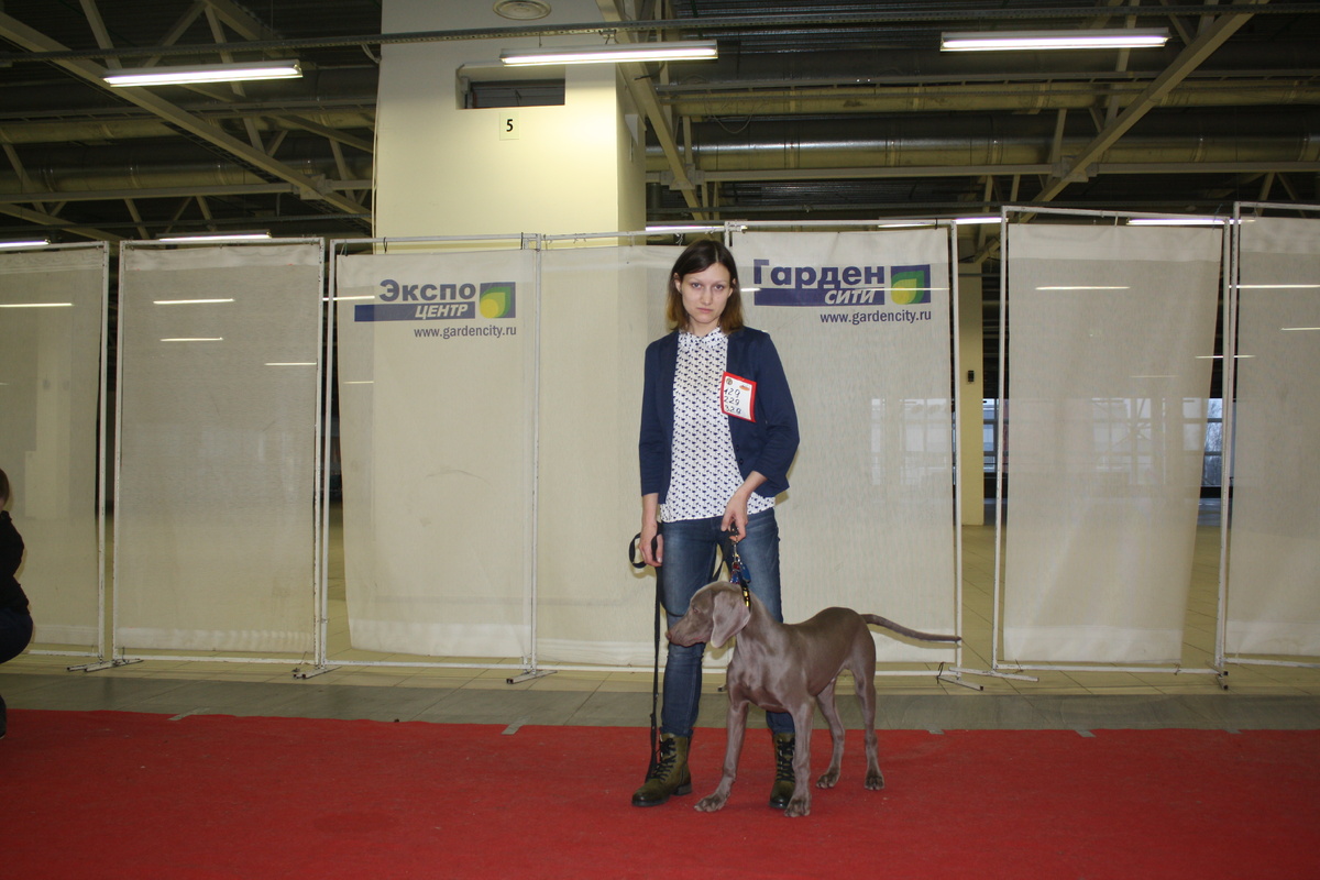 Наш пробный выход на красную ковровую дорожку