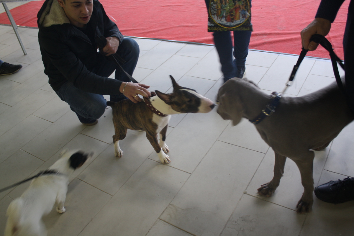 Новые знакомства