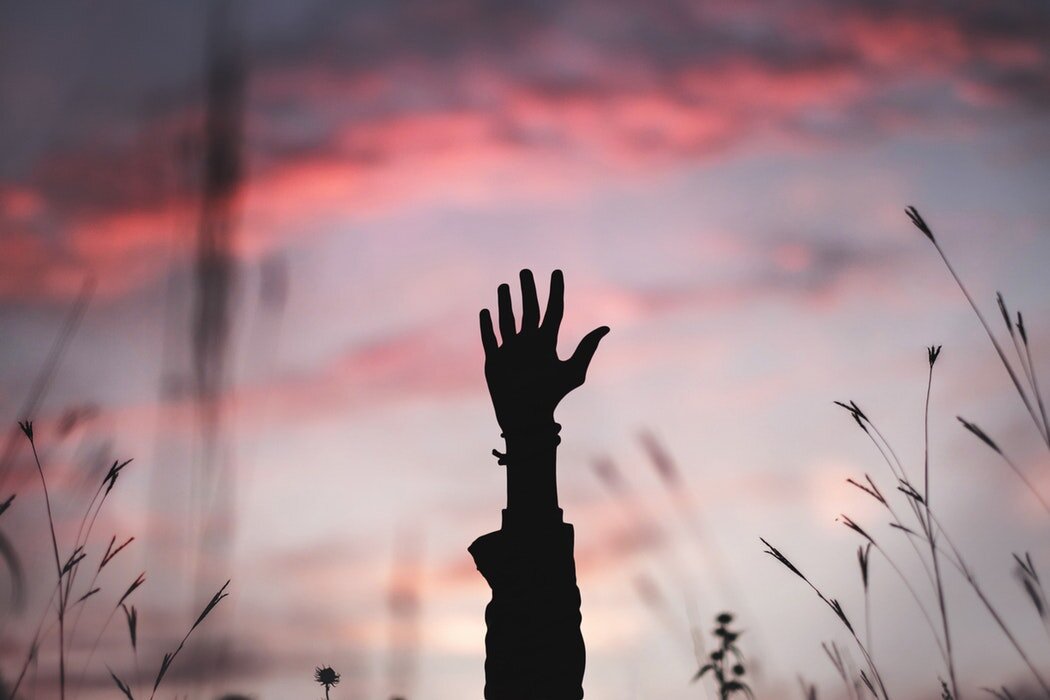 Источник фото: unsplash.com
