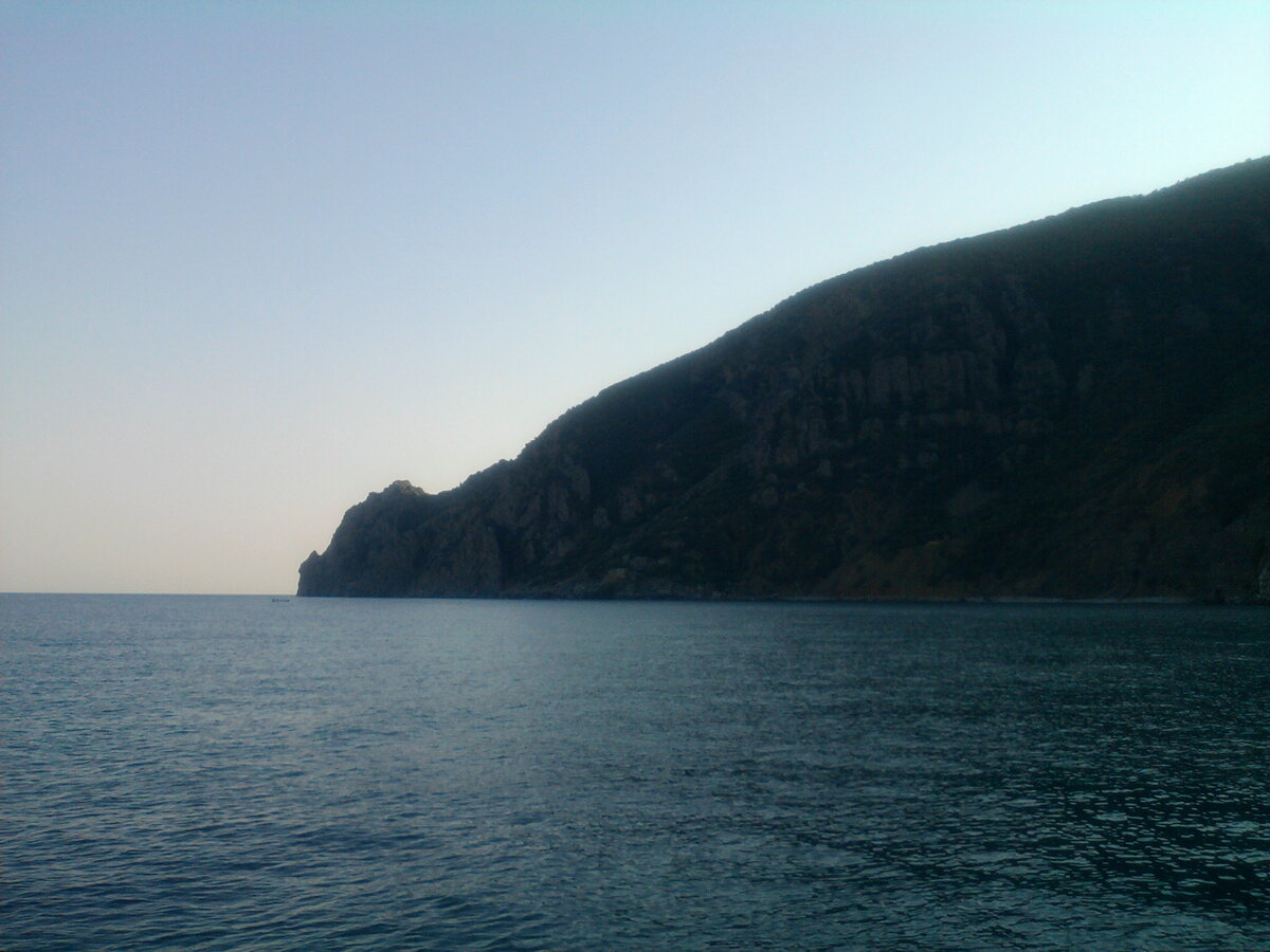 есть ли в крыму медведи