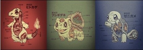 Мои пациенты в разрезе