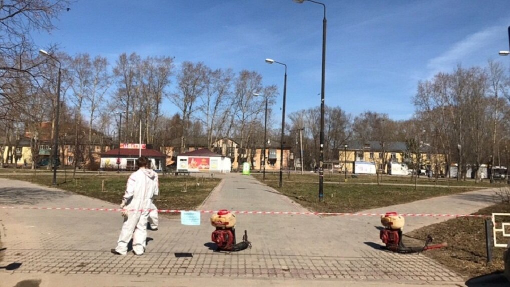  Фото: пресс-служба администрации Вологды