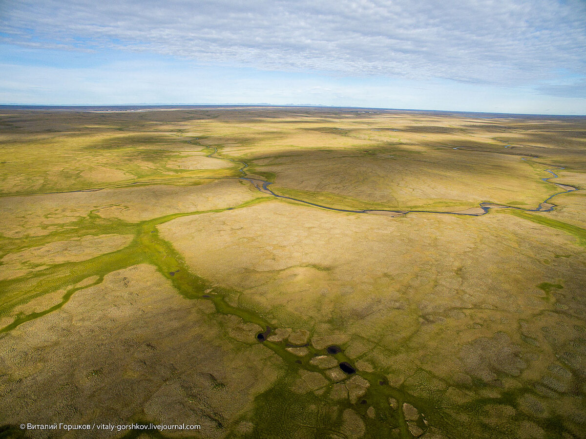 Так выглядит тундра в этих же широтах на полуострове Таймыр — ни деревца до самого горизонта