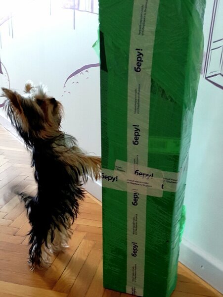 Что же это нам привезли такое?!! Видели эту картинку у себя в ленте? Я ее публиковала отдельным постом на прошлой неделе ( посты можно видеть только в мобильном приложении) . А вот и ответ...