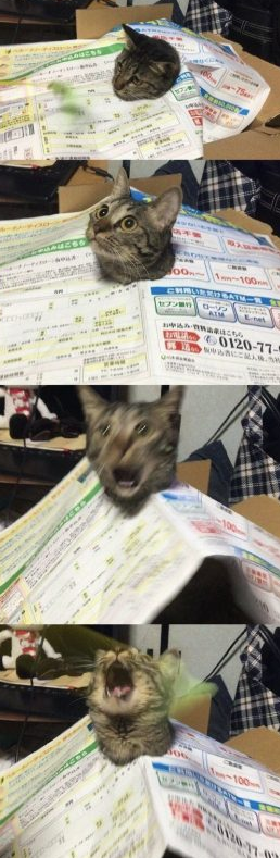 Источник фото: reddit/u/BraveReddit