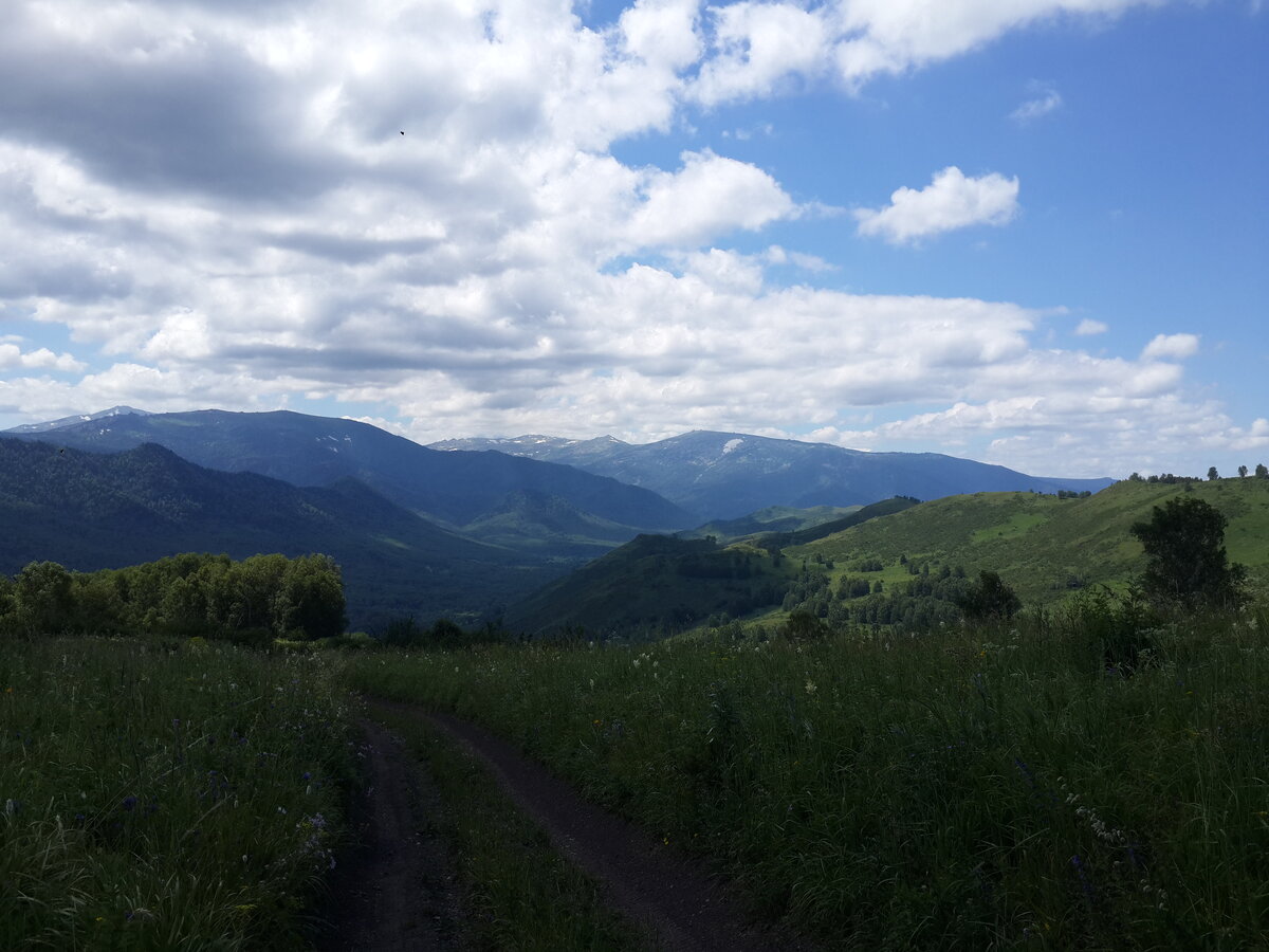 Алтайский край д. Тулата Чарышский район Алтайский край. Село Тулата Чарышский район. Усть Ионыш Чарышский район Алтайский край.