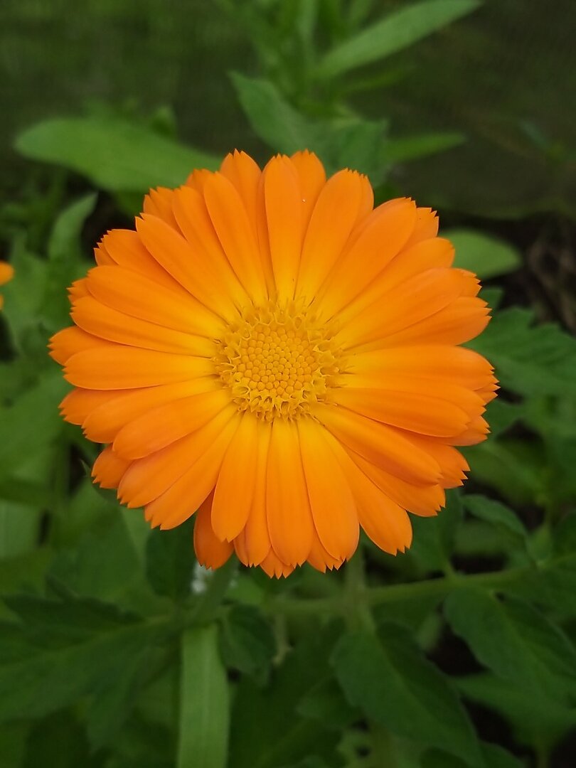                                                                                                  Фото автора статьи