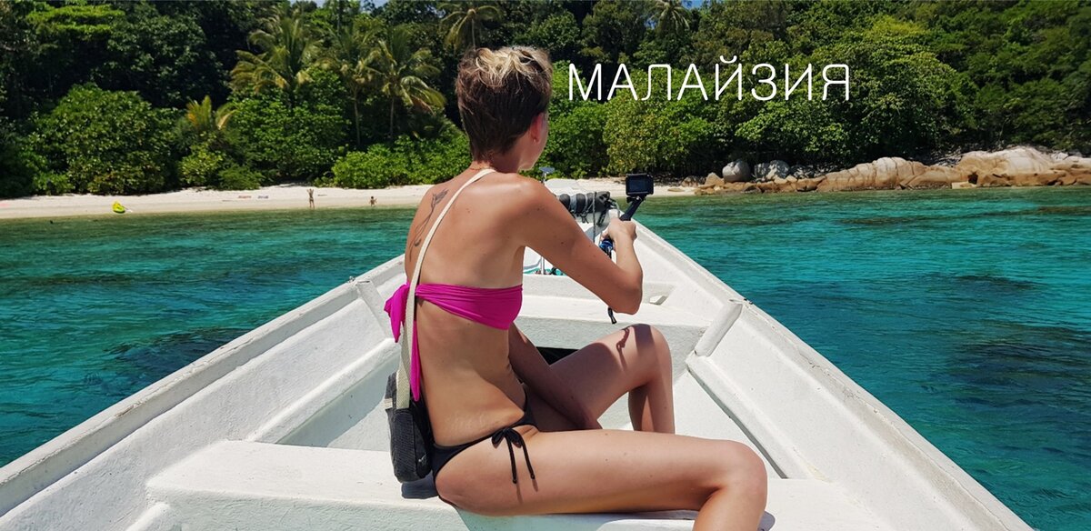 Впереди turtle beach