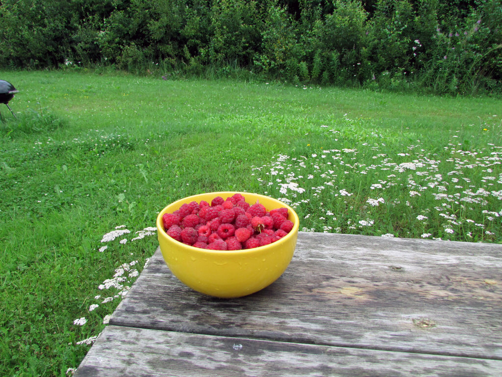 Фото Самогон Саныча