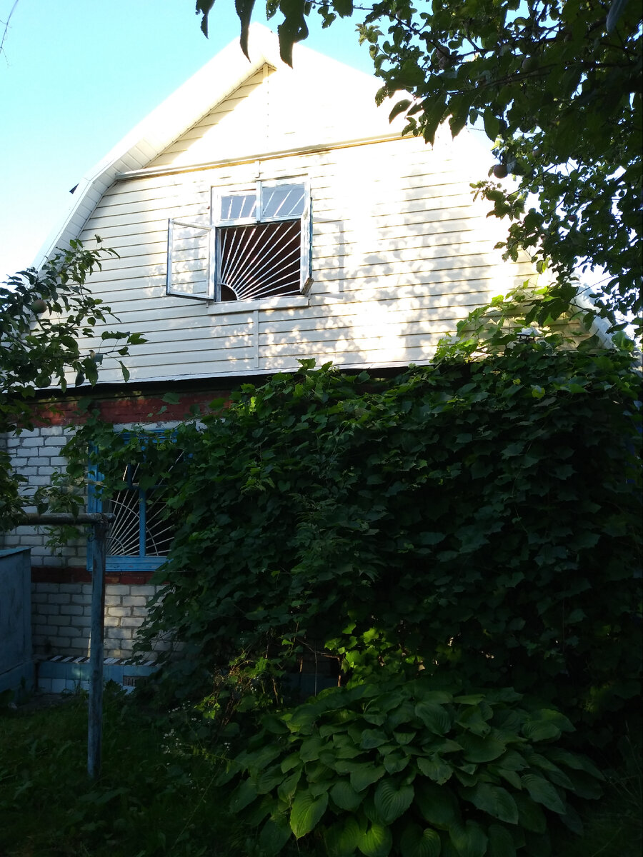 Наш дачный домик