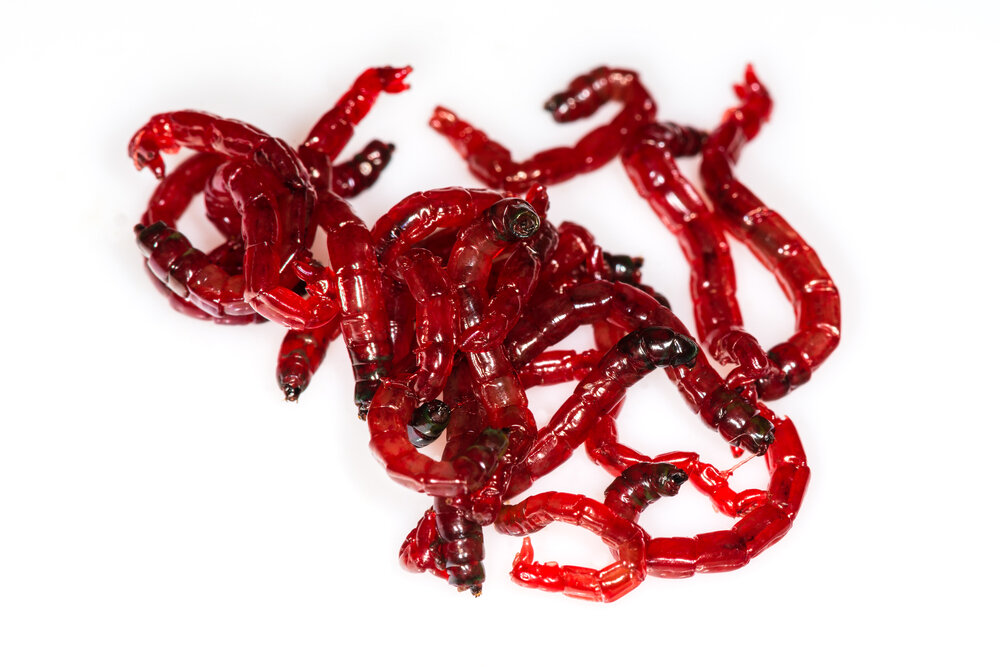 Фото взято с сайта https://domdrug.life