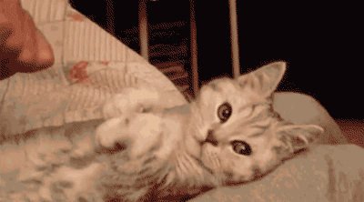 GIF картинка с сайта: gifer.com