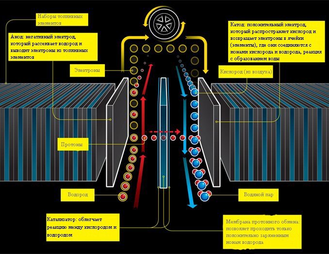 схема структуры топливного элемента автомобиля