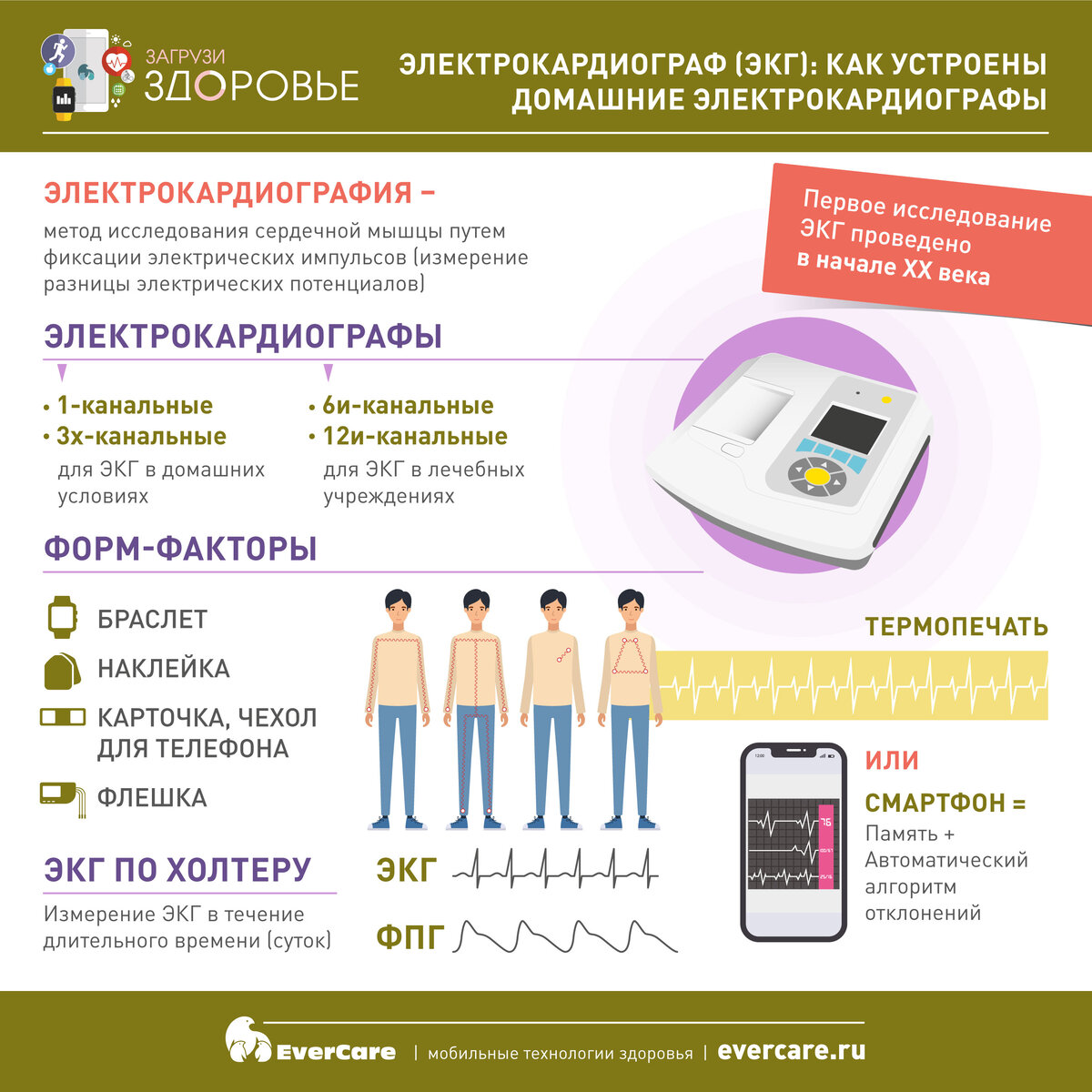 Электрокардиограф (ЭКГ): как устроены домашние электрокардиографы 