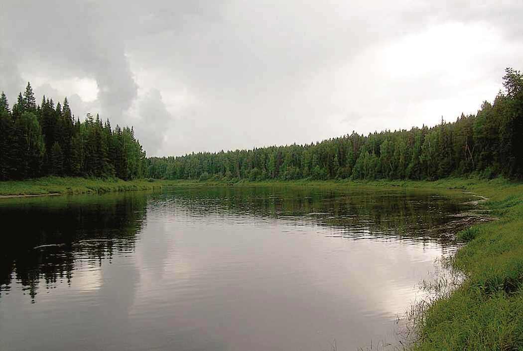 Река Пенега, Архангельская область