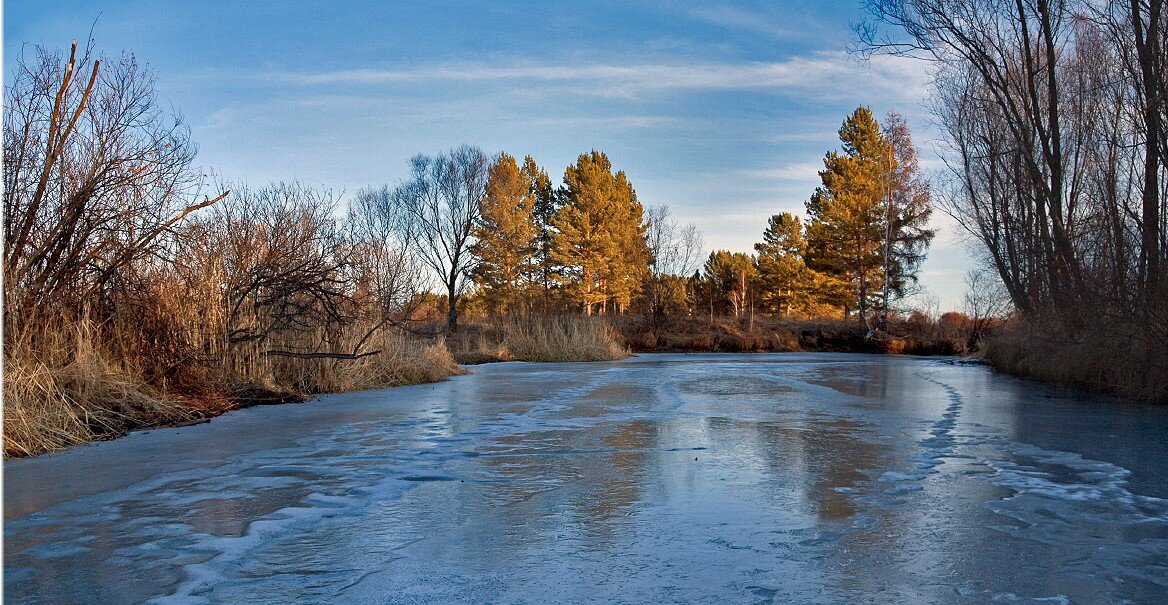 фото яндекс картинки