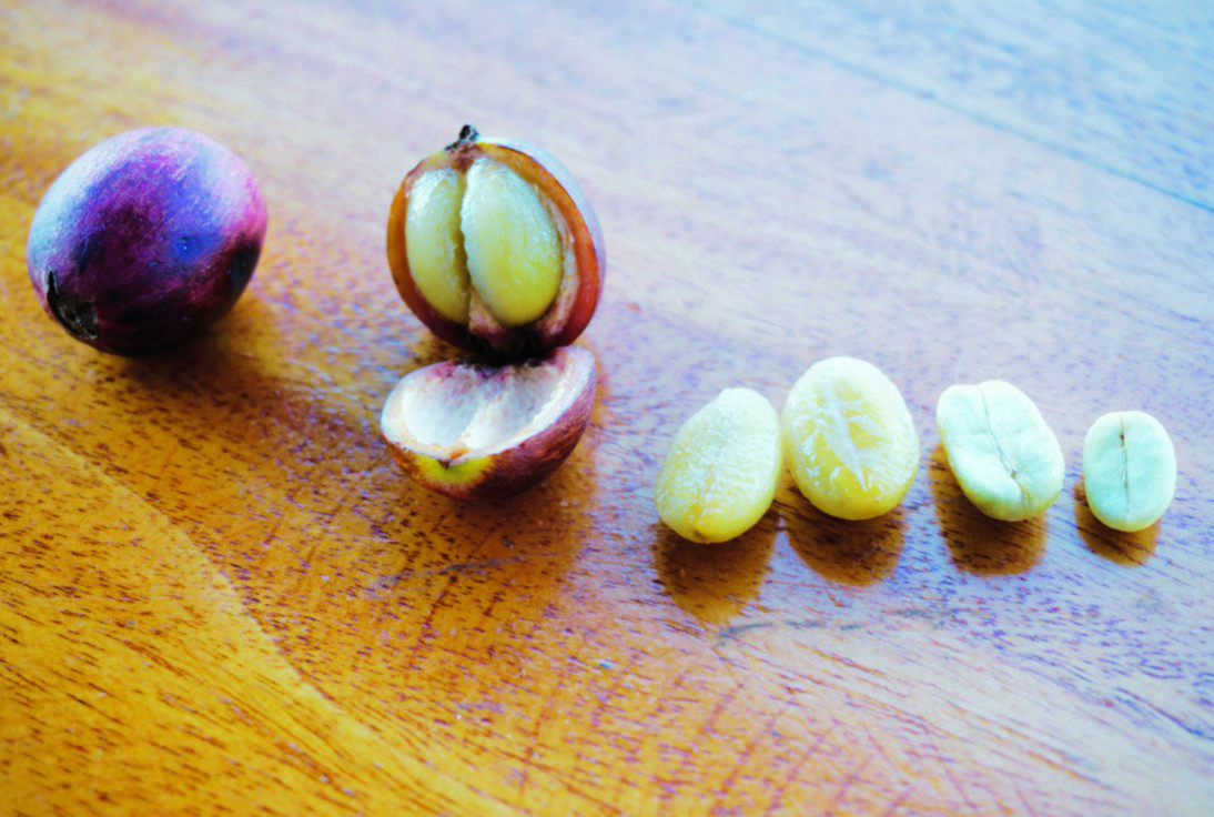 Источник: coffee-consulate.com