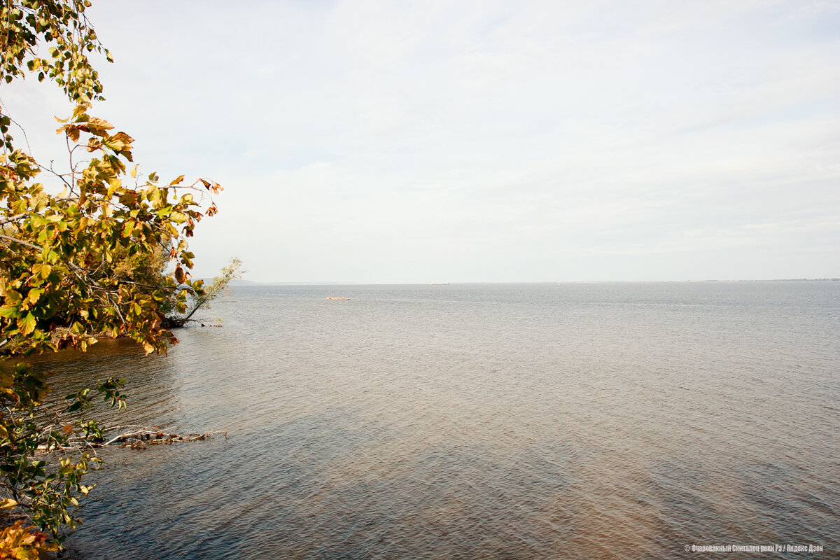 Какое море названо хвалынским в песне окружающий. Хвалынский разлив Волги. Реки Хвалынского района. Хвалынское море фото. Хвалынский туман.