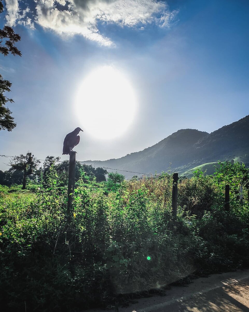 У нас на районе все спокойно