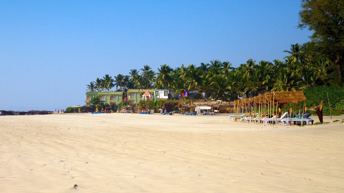 Фото из интернета