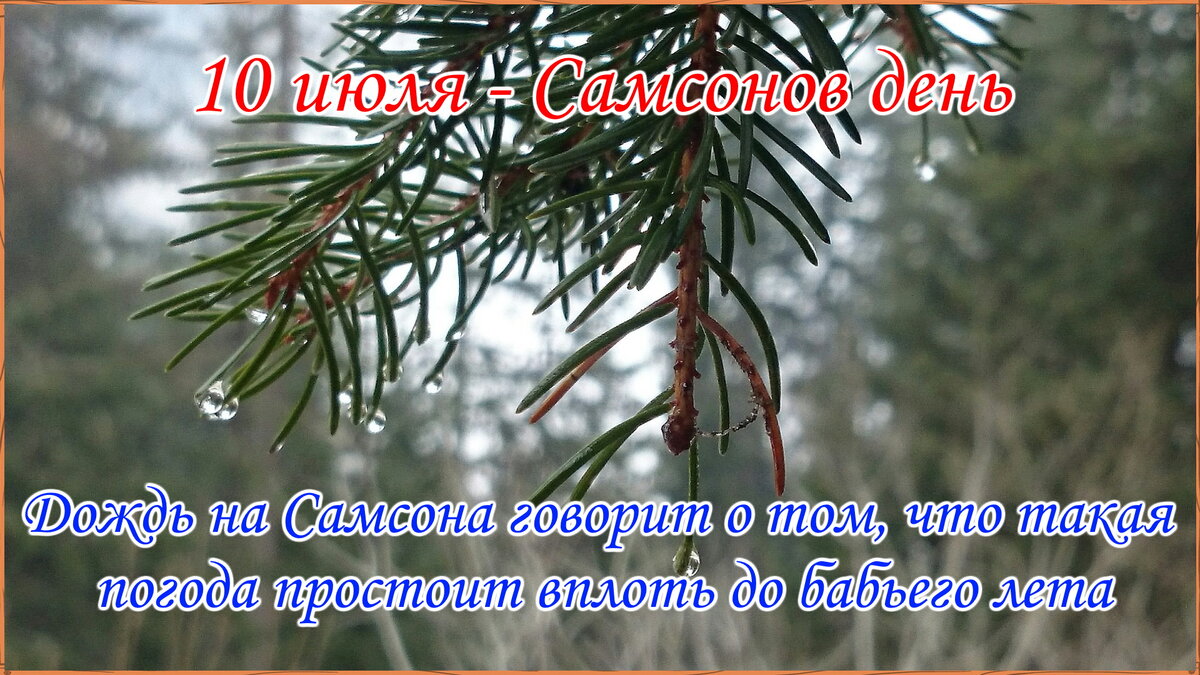 10 июля - Самсонов день