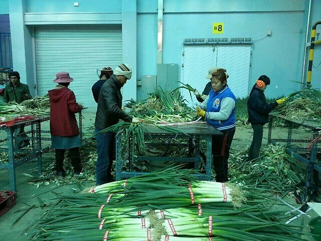 Одна из видов работ 