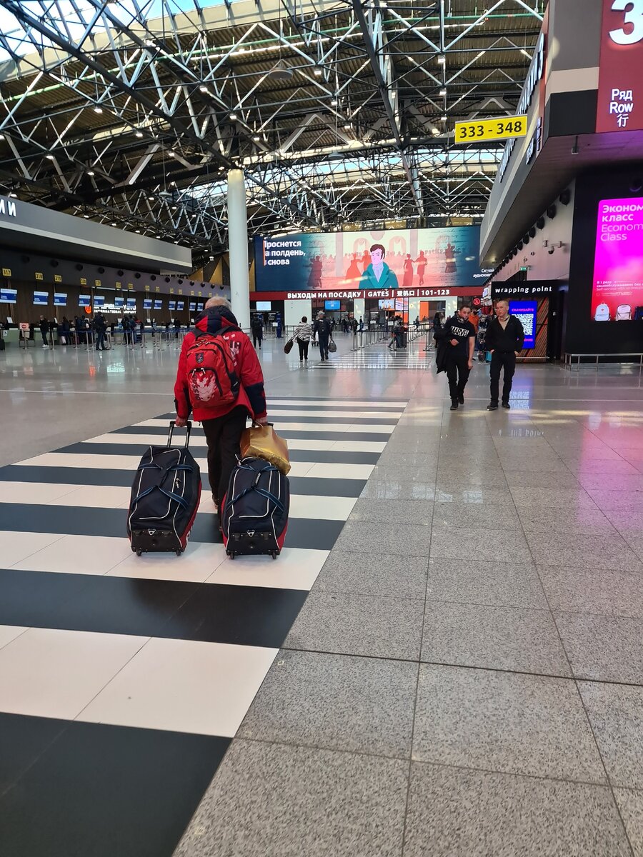 Аэропорт Шереметьево.