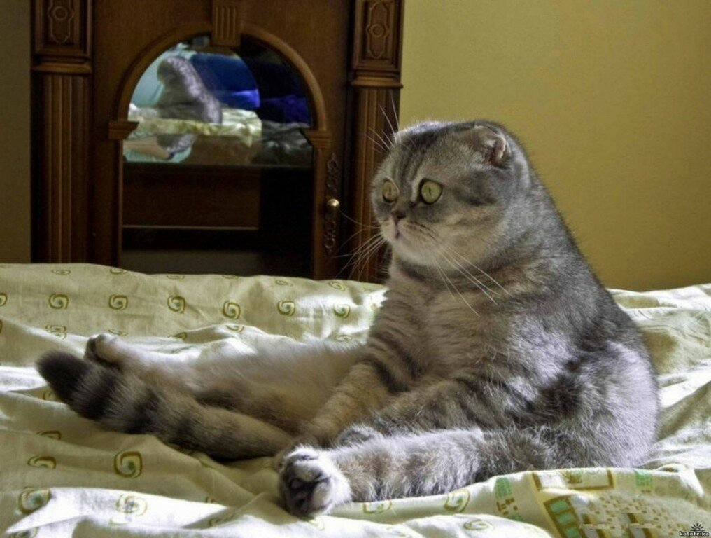 25 февраля 2005 г.