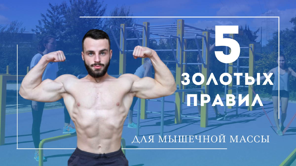 5 Золотых правил для набора мышечной массы с собственным весом | PRO ...