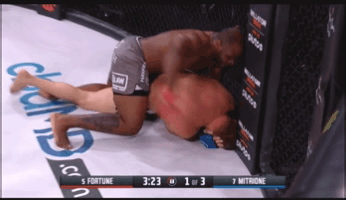 В своем последнем бою Тайрелл Форчун одержал пока самую громкую свою победу – над ветераном UFC Мэттом Митрионом. Наверняка американец захочет повысить планку, и одолеть Виталия Минакова