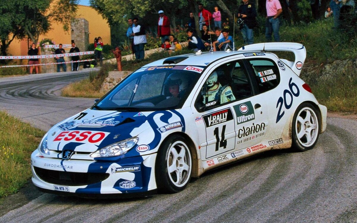 Rally Snow Peugeot