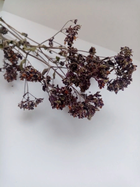 Добавьте описание