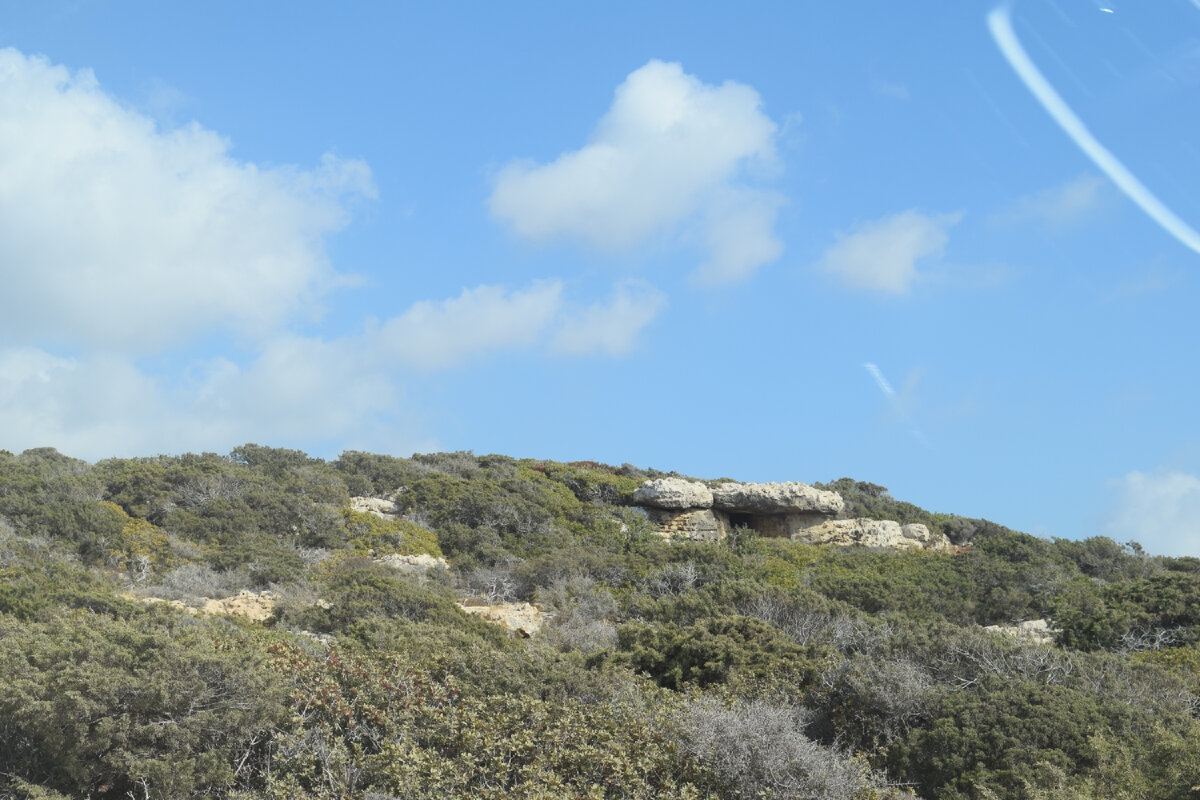 По дороге от Пафоса до Лачи