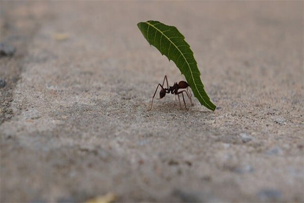 Добавьте описание