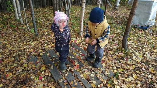 Осенние поделки в сад, школу и для дома