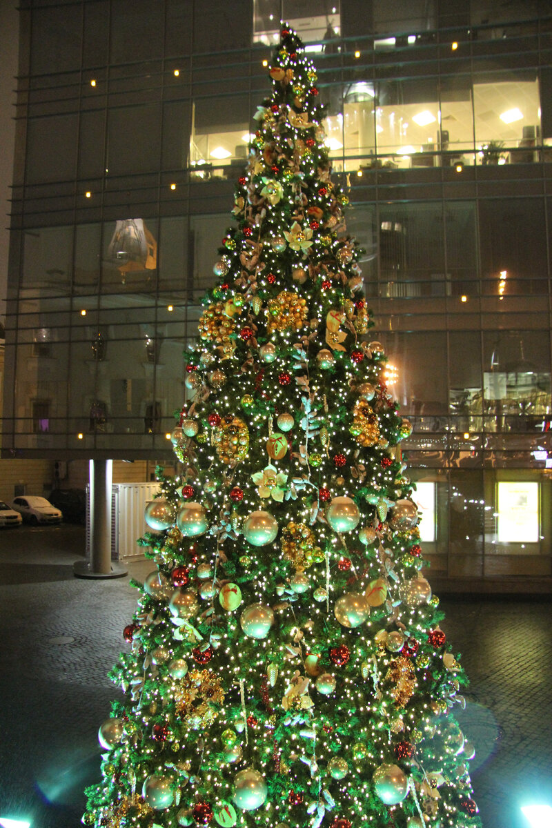 личный архив - елка в Москве в 20014 году в районе Павелецкой