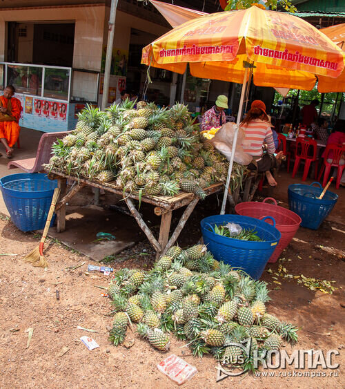 Ананасы с поля собирают в корзины, а на рынке торговца сразу продают 