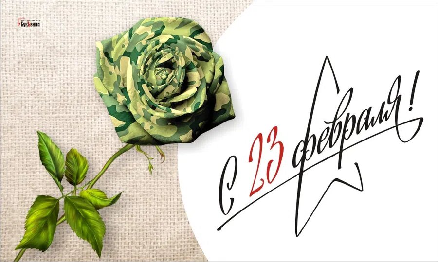 День защитника отечества. Иллюстрация: Курьер.Среда