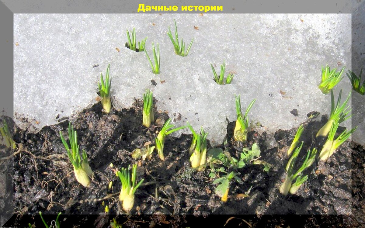 https://vk.com/photo-159774511_457251737