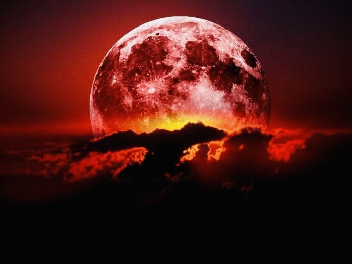 фото из Яндекс