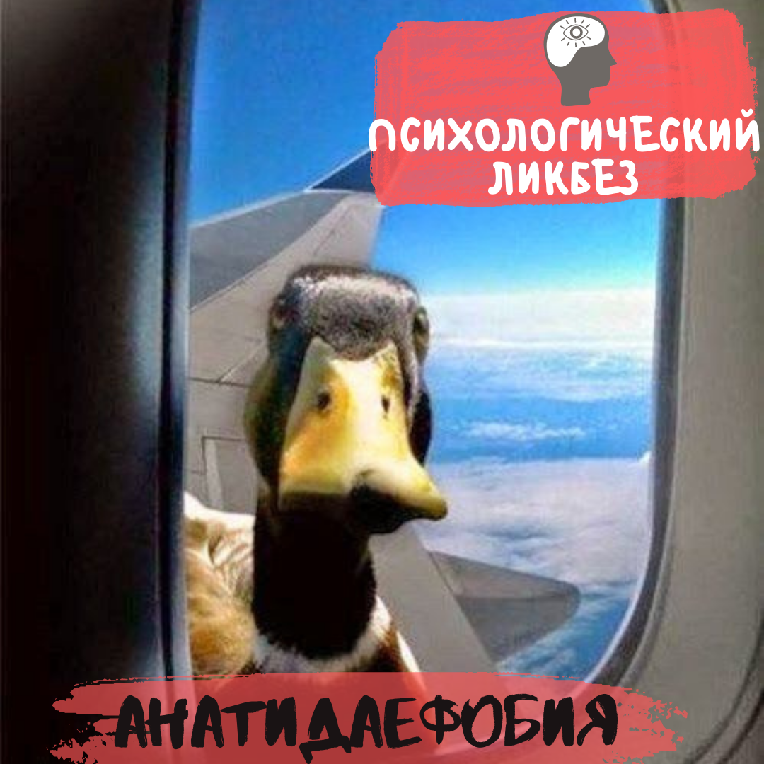 Изображение из открытых источников с обработкой автора