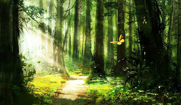 Все фото взяты из открытых источников